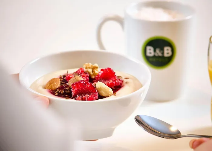 Duesseldorf-hilden Отель 3*